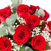 Pachet buchet 11 trandafiri rosii Valentine`s Day 4